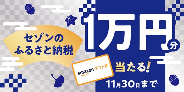 セゾンふるさと納税2020年11月のキャンペーン