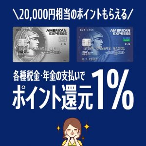 セゾンのビジネス向けカードで税金・年金を払うとポイント2倍還元キャンペーンがお得！税金を支払う方法の解説