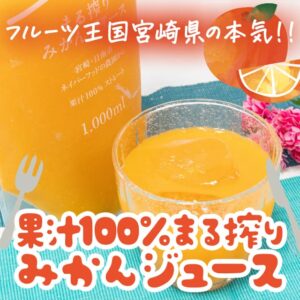 【ふるさと納税】宮崎県日南市の丸搾りみかんジュースは生のフルーツを飲んでるみたいで美味しい