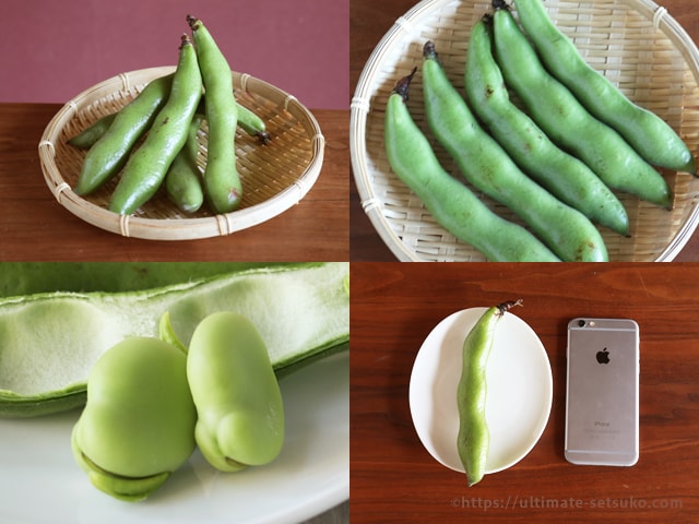 Amazon購入 和歌山県産 旬野菜おまかせセット そらまめ