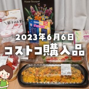 【節子のコストコ購入品】新商品いっぱい登場！新作日焼け止めやお花レゴ購入