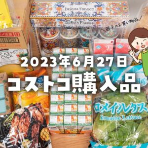 【節子のコストコ購入品】激レア品ゲット！夏の準備でいろいろお買い物★