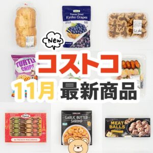 12月のお買い物の参考に！11月に登場したコストコ新商品のまとめ