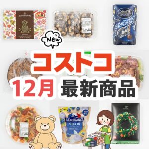 2024年12月に登場したコストコ新商品のまとめ備忘録