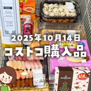 【節子のコストコ購入品】2025年10月14日！気になる新商品やデリ&スイーツを購入