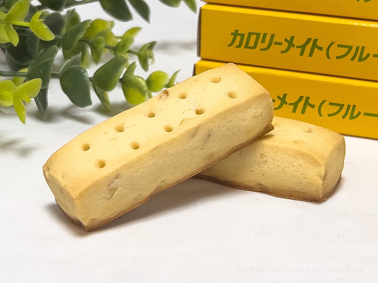 フルーツ味