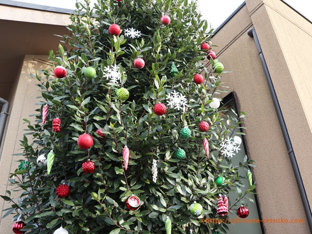 わかめ✦ฺコストコ✦クリスマスツリー わかめ✦ฺコストコ✦クリスマスツリー わかめ✦ฺコストコ✦クリスマス