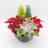 コストコのホリデー限定品!クリスマスプランターはポインセチアが入った豪華寄せ植え