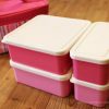 コストコで買った保冷剤つきのランチボックスセット!お花見や運動会にもおすすめ使い勝手の良いアイテム♪