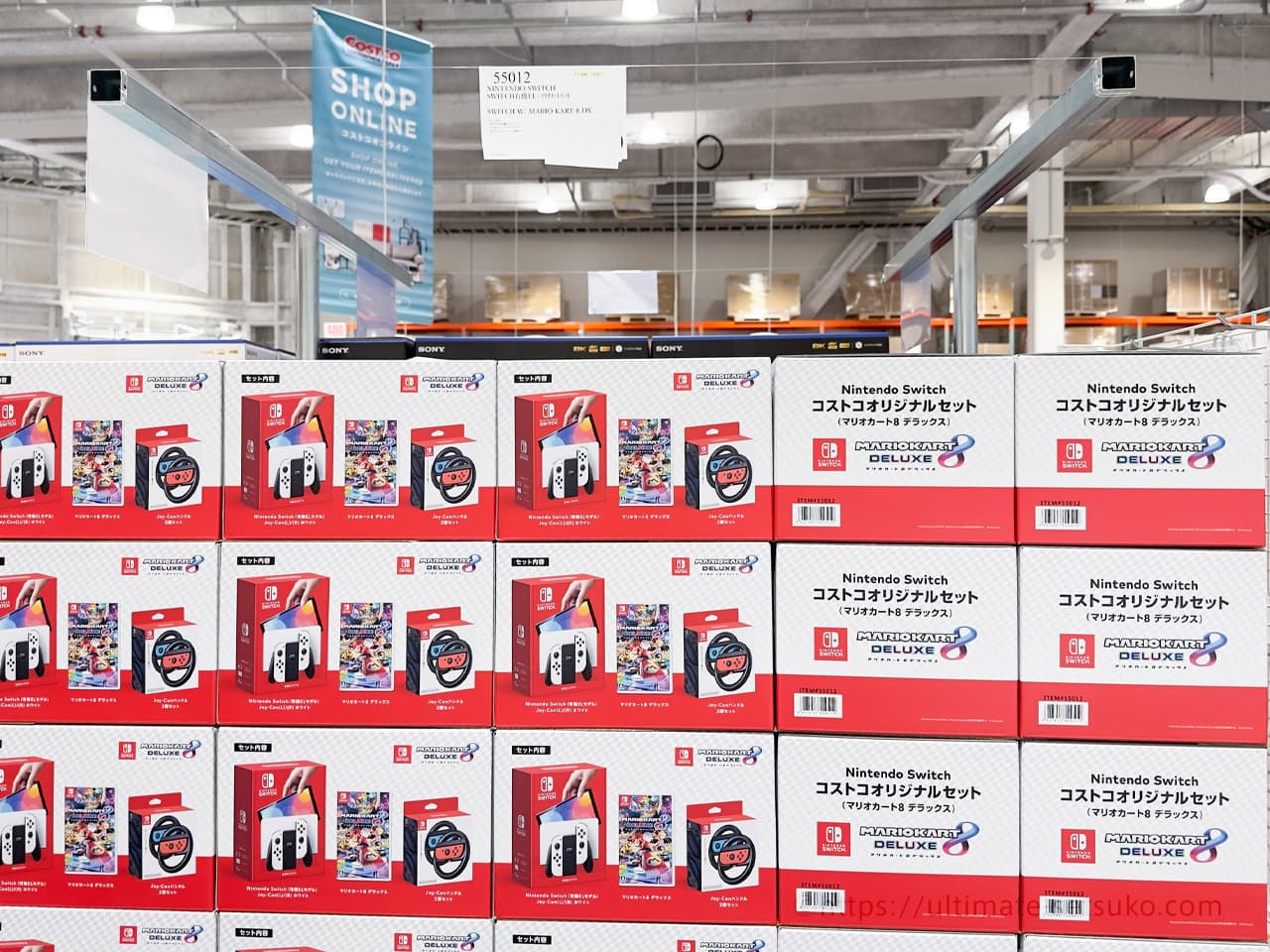 Nintendo Switch コストコオリジナルセット