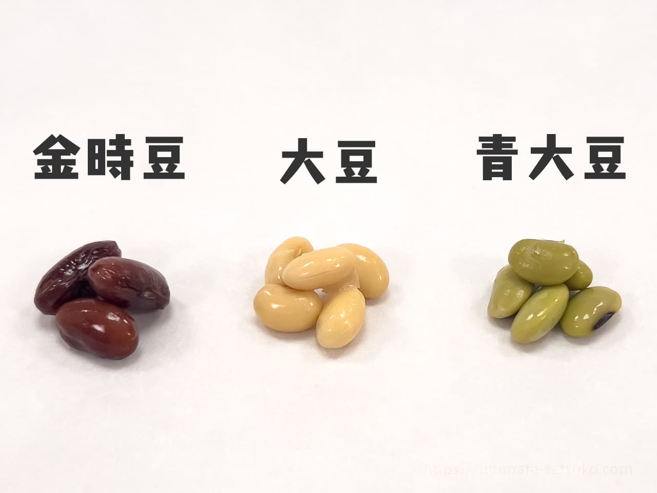 costco-kajitsudo-soybeans_04