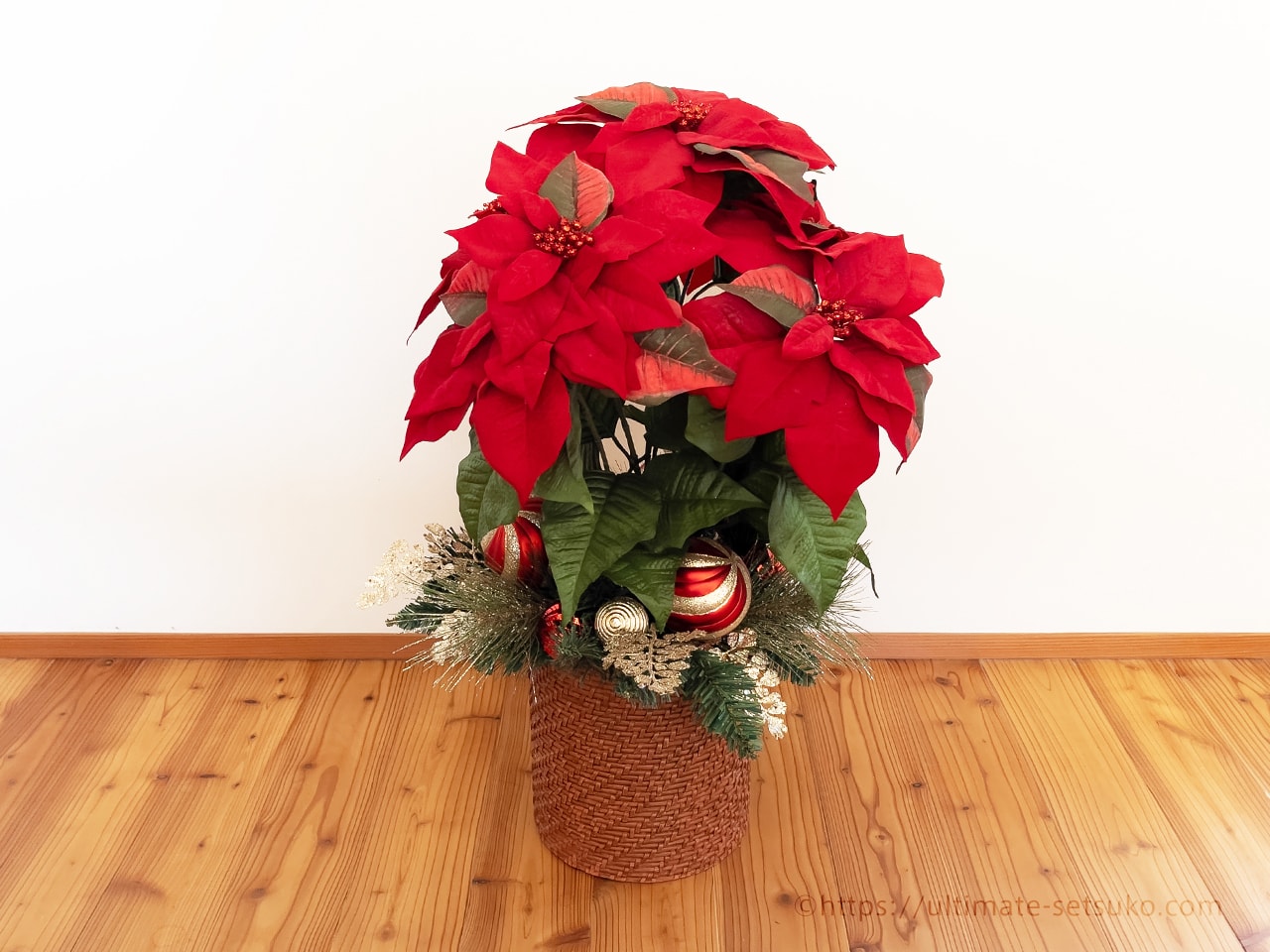 ポインセチアクリスマスツリー植木鉢 予約商品：12/2発送】ポインセチア ツリー仕立て 4号の通販