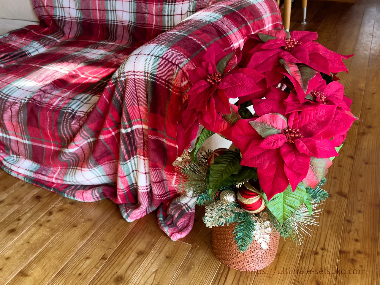 コストコのクリスマスおすすめ品はやっぱりポインセチアの鉢植え！置く