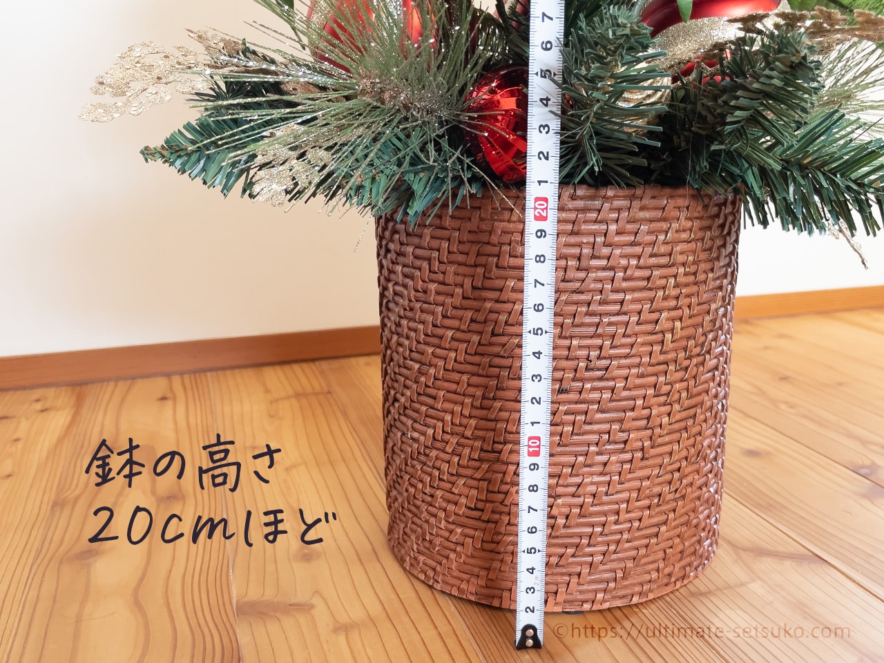 コストコのクリスマスおすすめ品はやっぱりポインセチアの鉢植え！置く