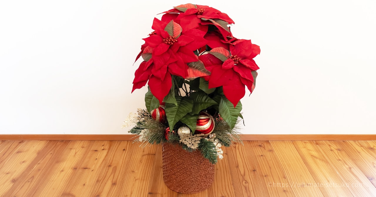 costco-lifelike-poinsettia-ogp.jpg