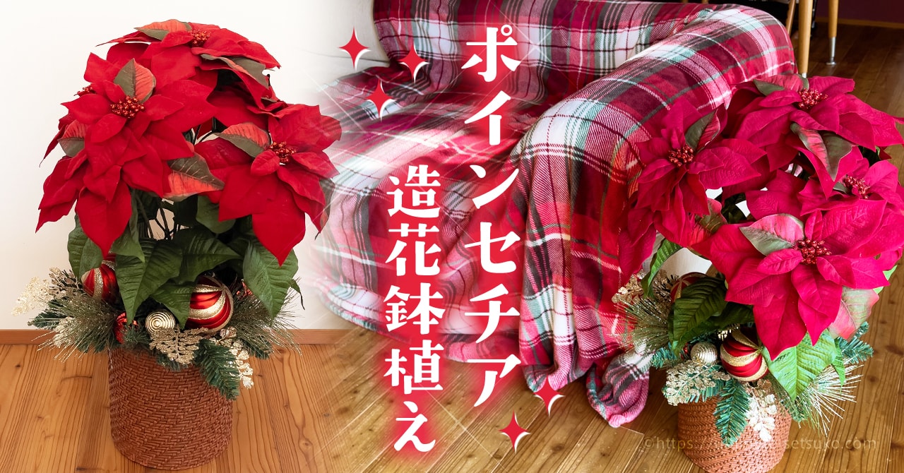 コストコのクリスマスおすすめ品はやっぱりポインセチアの鉢植え