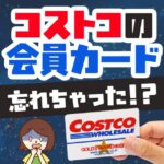 コストコは会員カードを忘れても入店できる！仮会員証の発行の仕方と身分証がない場合の対処法