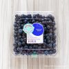 コストコの生ブルーベリー!不定期登場ですが新鮮で粒が大きくて美味しい!保存方法や洗い方も紹介