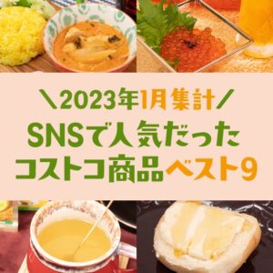 2023年1月にSNSで話題のコストコ商品ベスト9