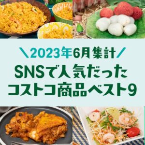 2023年6月のSNSで人気だったコストコ商品ベスト9