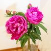 コストコのお花!初夏のグロワーズバンチは気品のある美しい芍薬(シャクヤク)