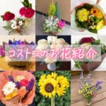 コストコでおすすめの花や季節のフラワーブーケ紹介&長持ち保存方法や水切りの解説