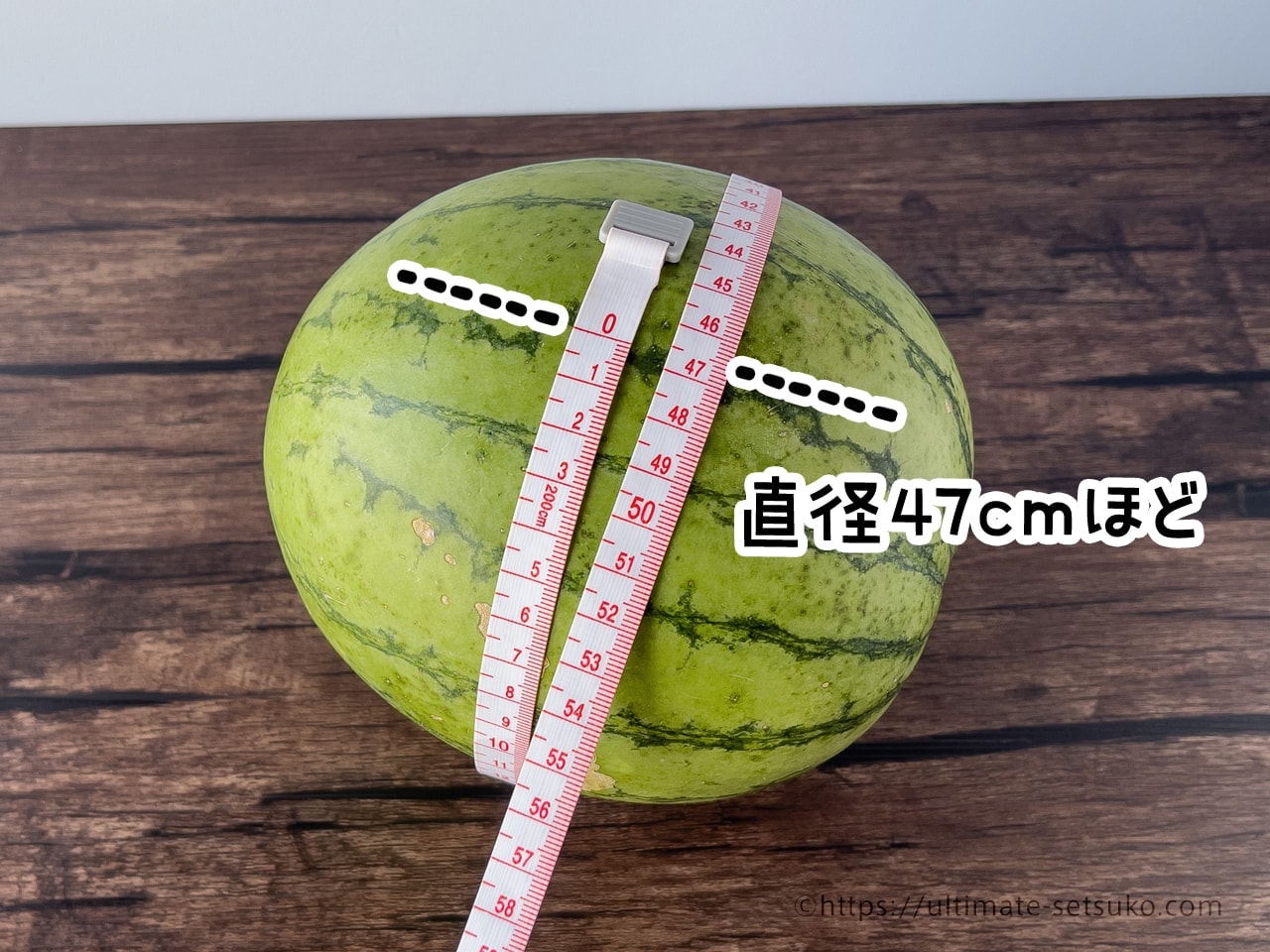 直径47cm