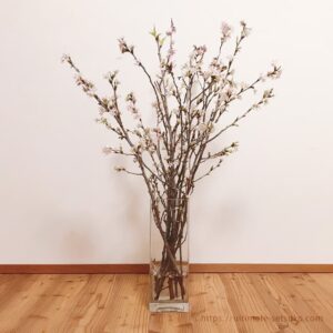 春限定！コストコの桜の枝はおうちで花見に最適。綺麗でコスパ優秀でおすすめ