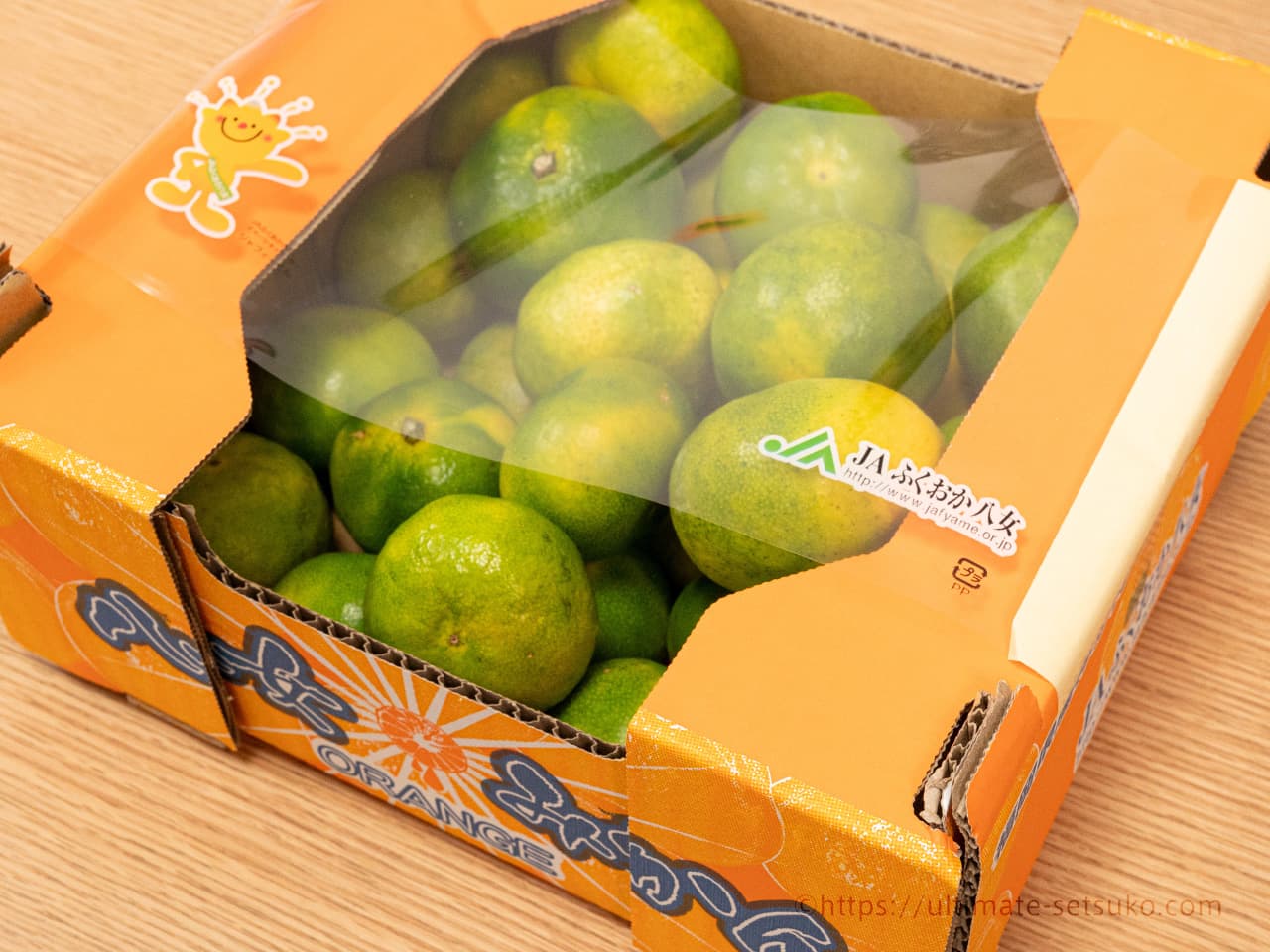 コストコの熊本県産八女みかんが甘酸っぱくて爽やかで美味しい！コスパ