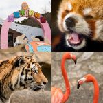 浜松市動物園とコストコ浜松での買物で1日遊べるレジャープランの紹介