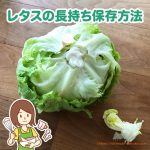 レタスの保存方法！簡単に芯をくりぬく方法と長持ちさせるコツ