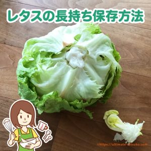 レタスを新鮮に保存する方法