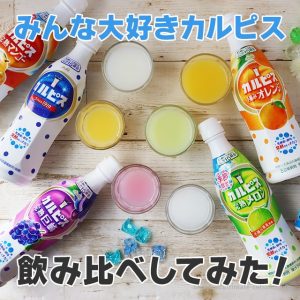 おすすめカルピス6種の飲み比べ